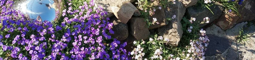 You are currently viewing Besucher im Garten