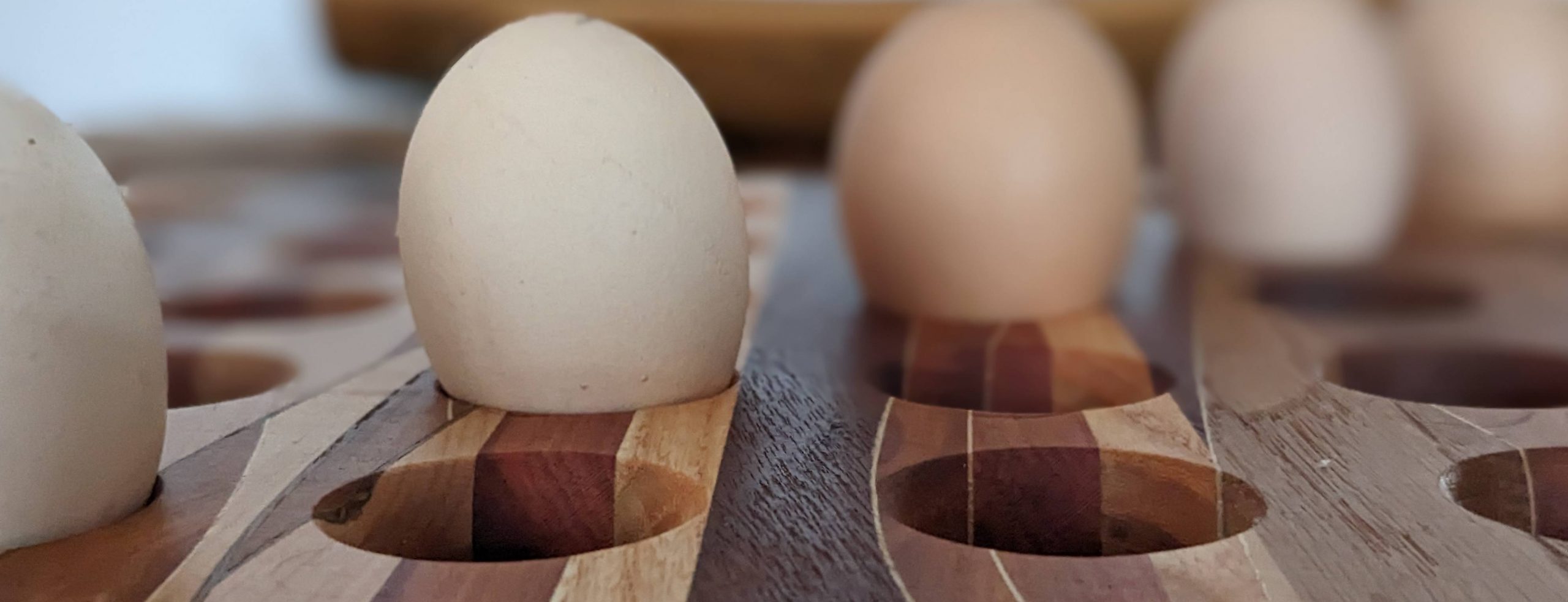 You are currently viewing Bretter, die die Welt bedeuten