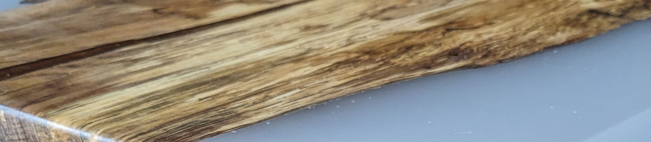 You are currently viewing EEE Tisch