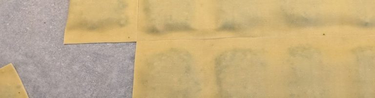 Read more about the article Handwerkskunst: Wie man richtig Maultaschen macht