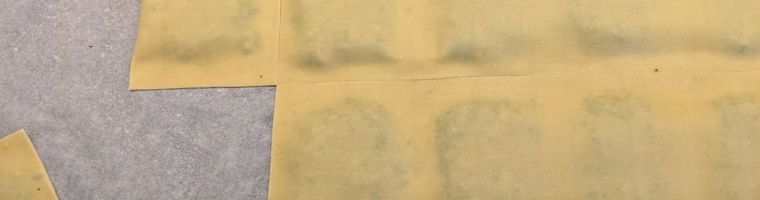 You are currently viewing Handwerkskunst: Wie man richtig Maultaschen macht