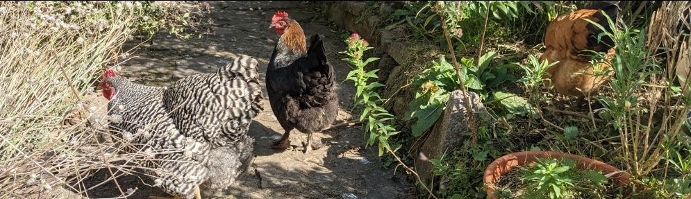 You are currently viewing Jetzt sind wir etwa 1 Jahr alt