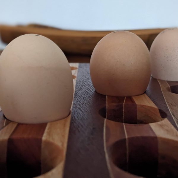 Die einzelnen Schnitte sind gut an den Furnierzwischenlagen erkennbar