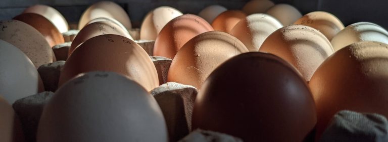 Read more about the article Legomat