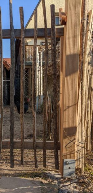 Martha die Ausbrecherin. Plant schon die nächste Flucht